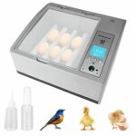 INCUBADORA INCUBADORA 16 HUEVOS DIGITAL AUTOMÁTICA GALLINA REPTILES HUEVO ESPERANZA GRI
