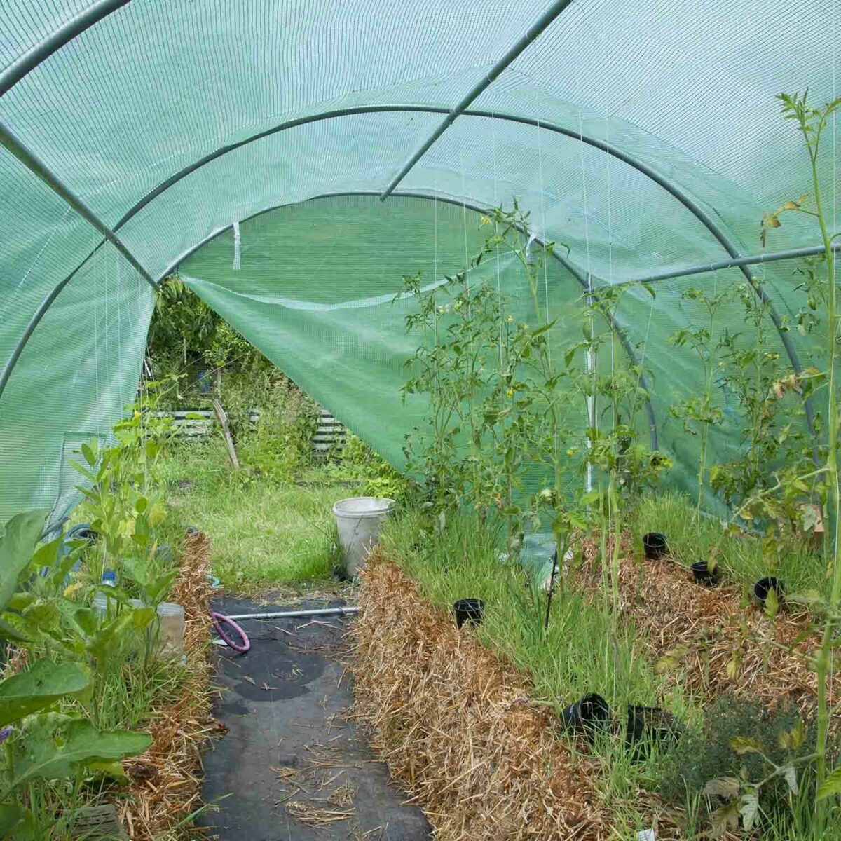 INVERNADERO PARA PLANTAS DE CULTIVO TÚNEL JARDÍN 2x3 MT ESTRUCTURA DE ACERO 990