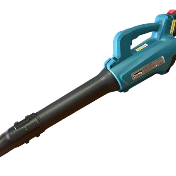 SOPLADOR DE 2 BATERÍAS LITIO 5AH 72V LIMPIEZA HOJAS DE JARDÍN GIADINAGGIO 182ox
