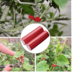 KIT 20 CORDONES ROJOS CINTAS ATADO DE FLORES DE PLANTAS ATADO DE RAMAS DE VID 615X