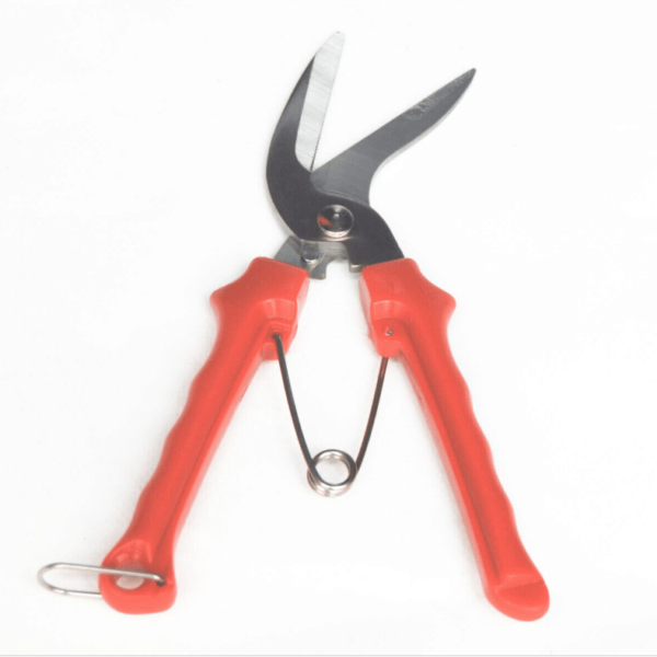 TIJERAS TIJERAS JARDINERÍA FLORES FRUTAS RAMAS CORTADOR RAMITAS 8" HOJA CURVA 152