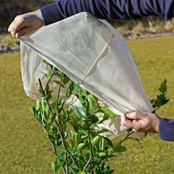 3 PIEZAS BOLSA ANTICONGELANTE TELA PLANTAS FLORES CAMPANA TNT THERMOCLIMATE 1,6 X 1 MT 832