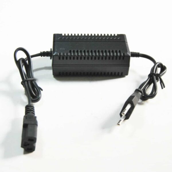 CARGADOR DE BATERÍA BOMBA PULVERIZADORA BATERÍA PULVERIZADORA 12V 1A BATERÍA OX