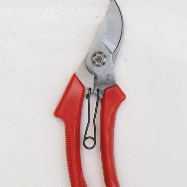 TIJERAS DE PODAR CURVAS PODA 20 cm CORTADOR DE RAMAS PLANTAS DE CORTE 199 ross