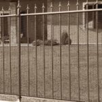 MALLA PLÁSTICA CUADRADA H 1 MT METRO VALLA DE BALCÓN MARRÓN PROTECCIÓN LONGITUD 3 METROS