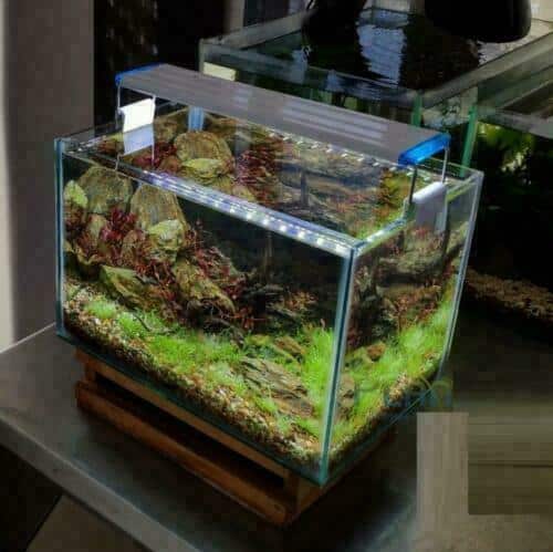 20016 LÁMPARA DE TECHO LED LUZ AZUL BLANCA LÁMPARA DE ACUARIO BARRA DE 40 A 50cm SLIM 6W 983