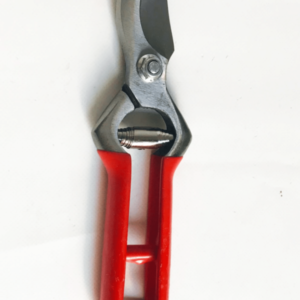 TIJERAS TIJERAS RECTAS PODA DE UVA DE VIÑEDO 210 MM HUERTO DE VIÑEDOS 561 Q