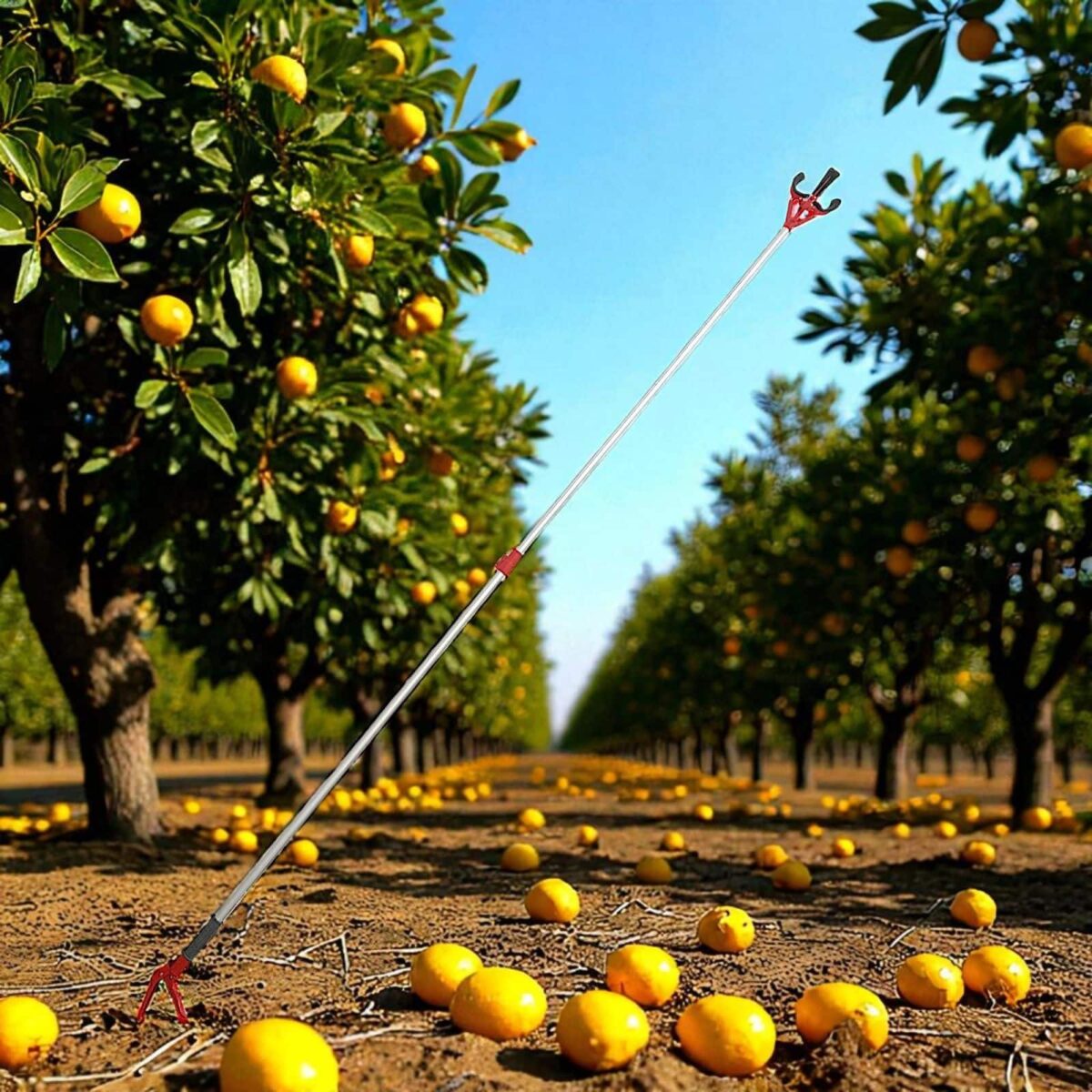 asta 2 Poste extensible para recogida de frutas residuos y objetos de jardín 1,8 x 3 mt 970x - Imagen 2