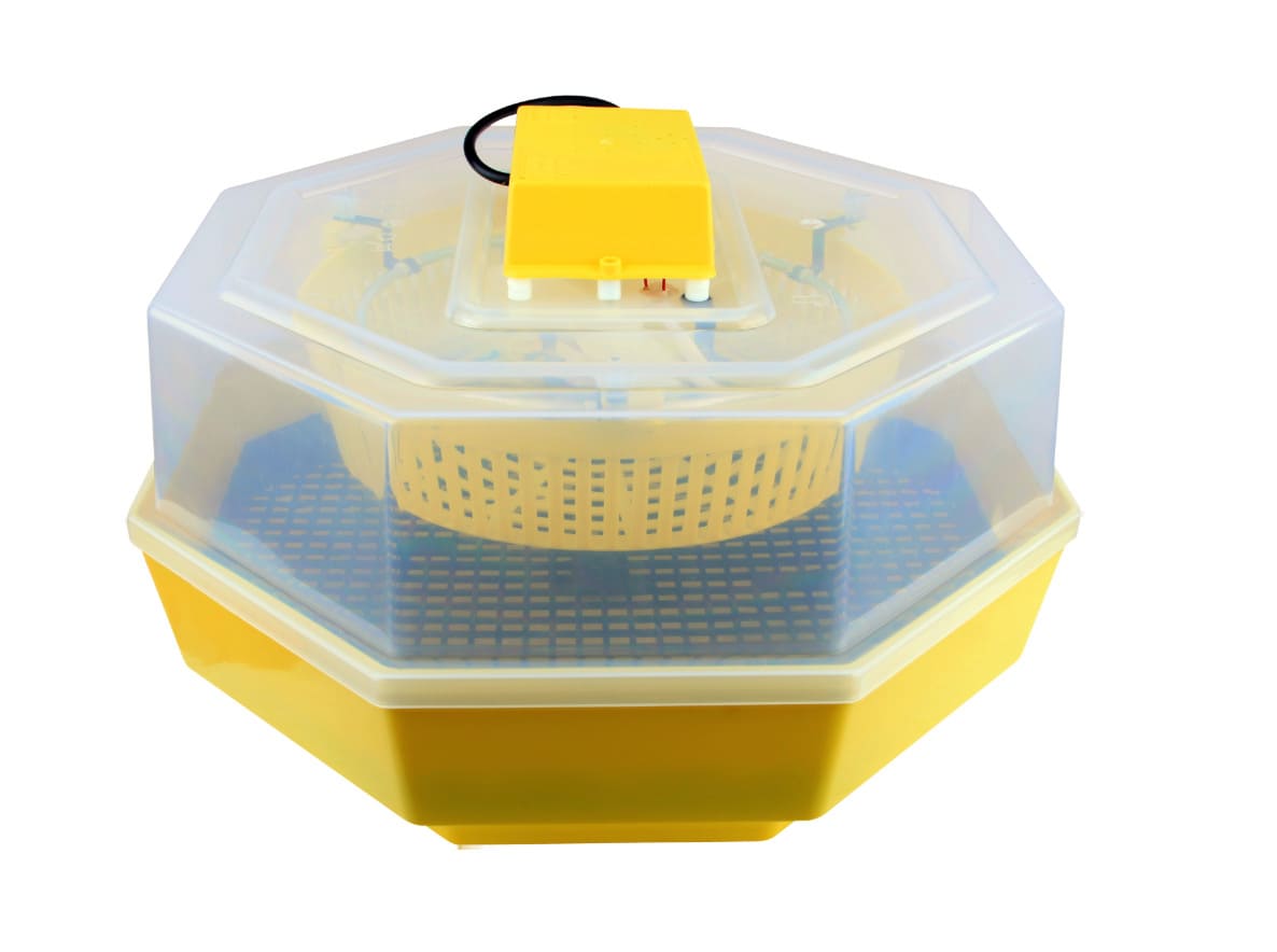 incubatrice-60-uova- Incubadora 60 huevos gallina codorniz animales 20 w incubadora ajustable avicultura 117ev - Imagen 1
