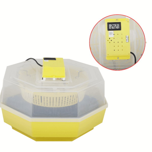 Incubadora 60 huevos gallina codorniz aves 20w incubadora regulable con termómetro 170ev